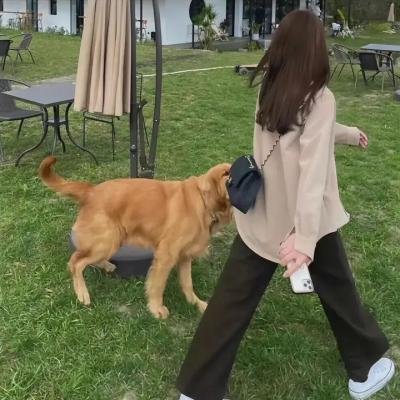 杀人读书会